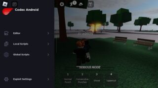 Codex android interface