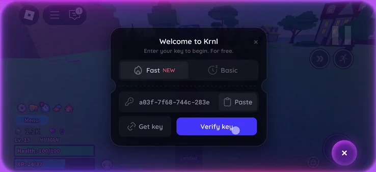 Verify krnl key